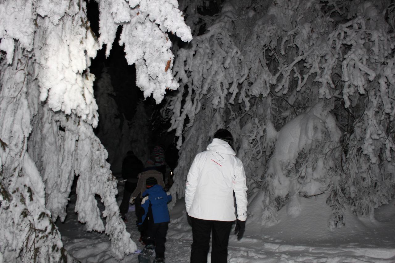 Soirée du 7 février 2015, montée en raquette