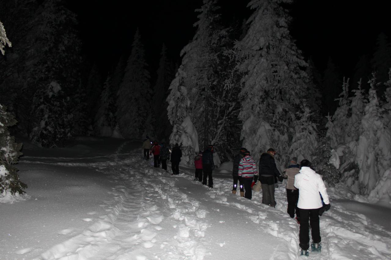 Soirée du 7 février 2015, montée en raquette