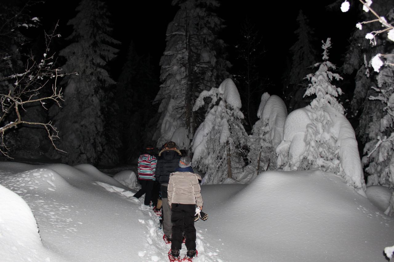 Soirée du 7 février 2015, montée en raquette