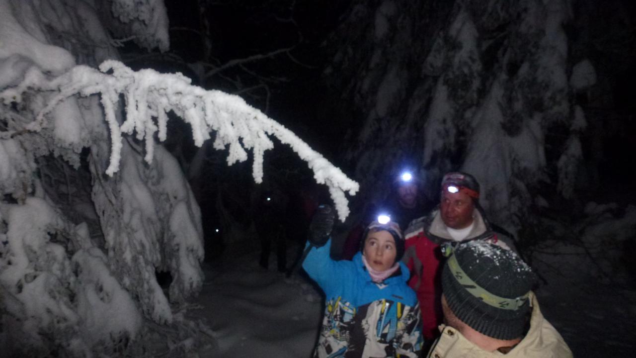 Soirée du 7 février 2015, montée en raquette