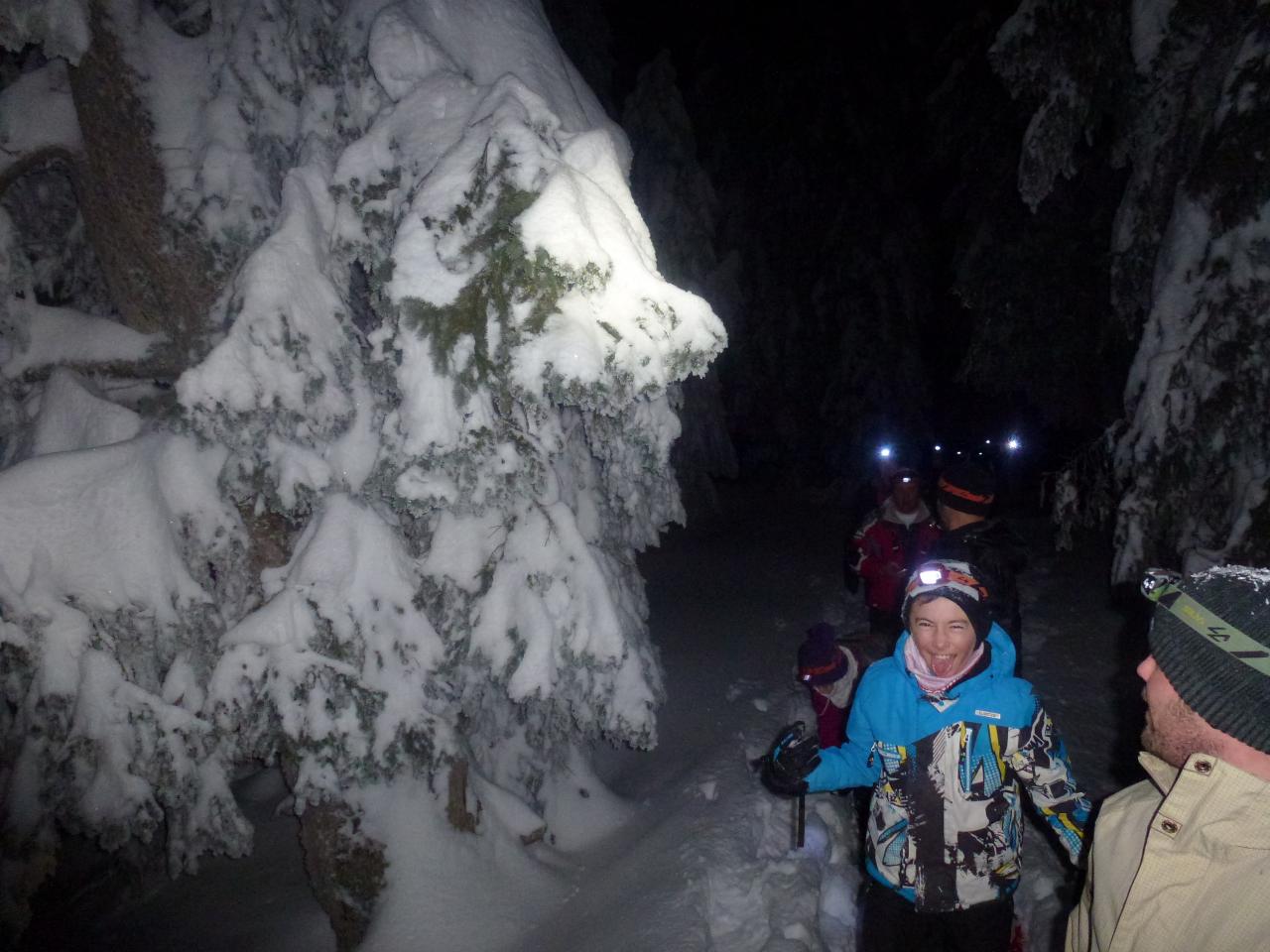 Soirée du 7 février 2015, montée en raquette