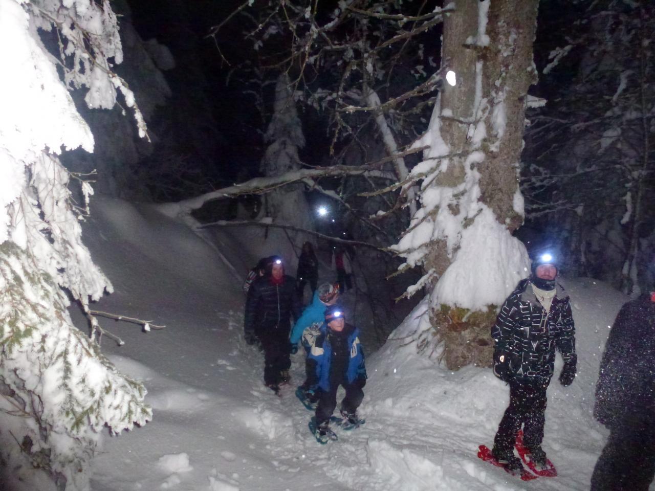 Soirée du 7 février 2015, montée en raquette