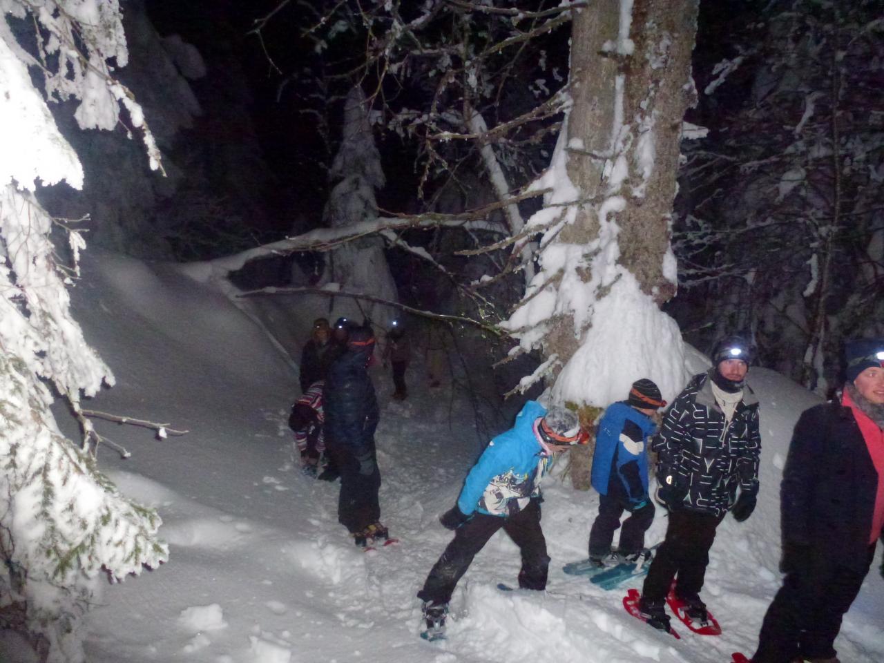 Soirée du 7 février 2015, montée en raquette