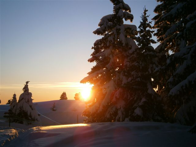 Coucher de soleil au départ de la raquette en forêt